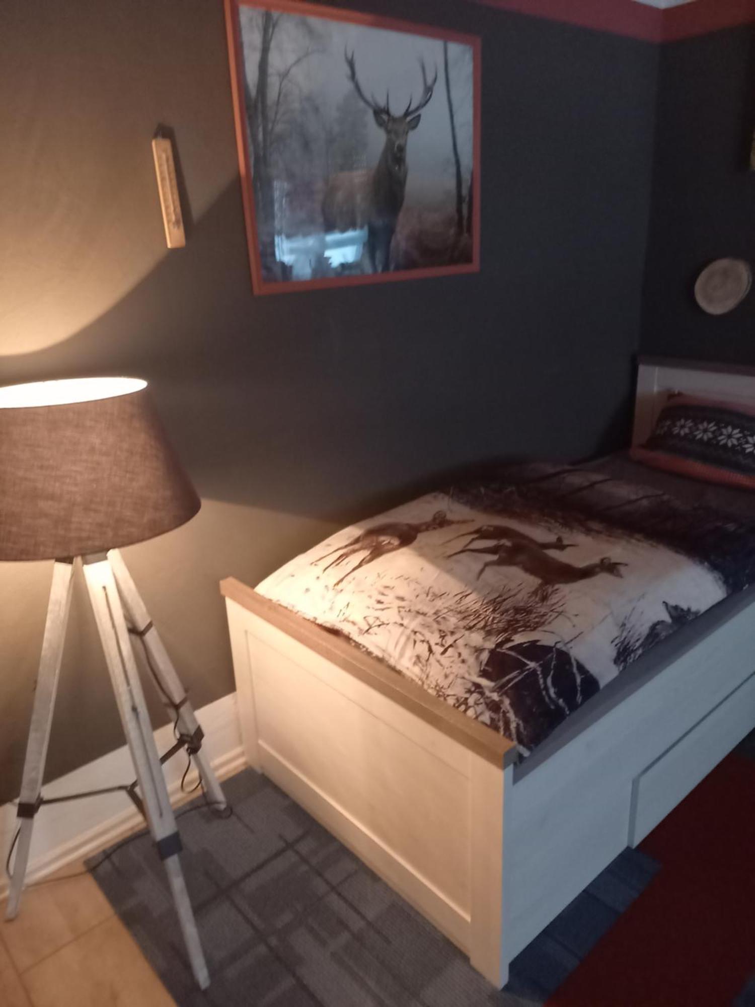 Monteur- Und Ferienwohnung Waldrauschen Fehrenbach Kültér fotó