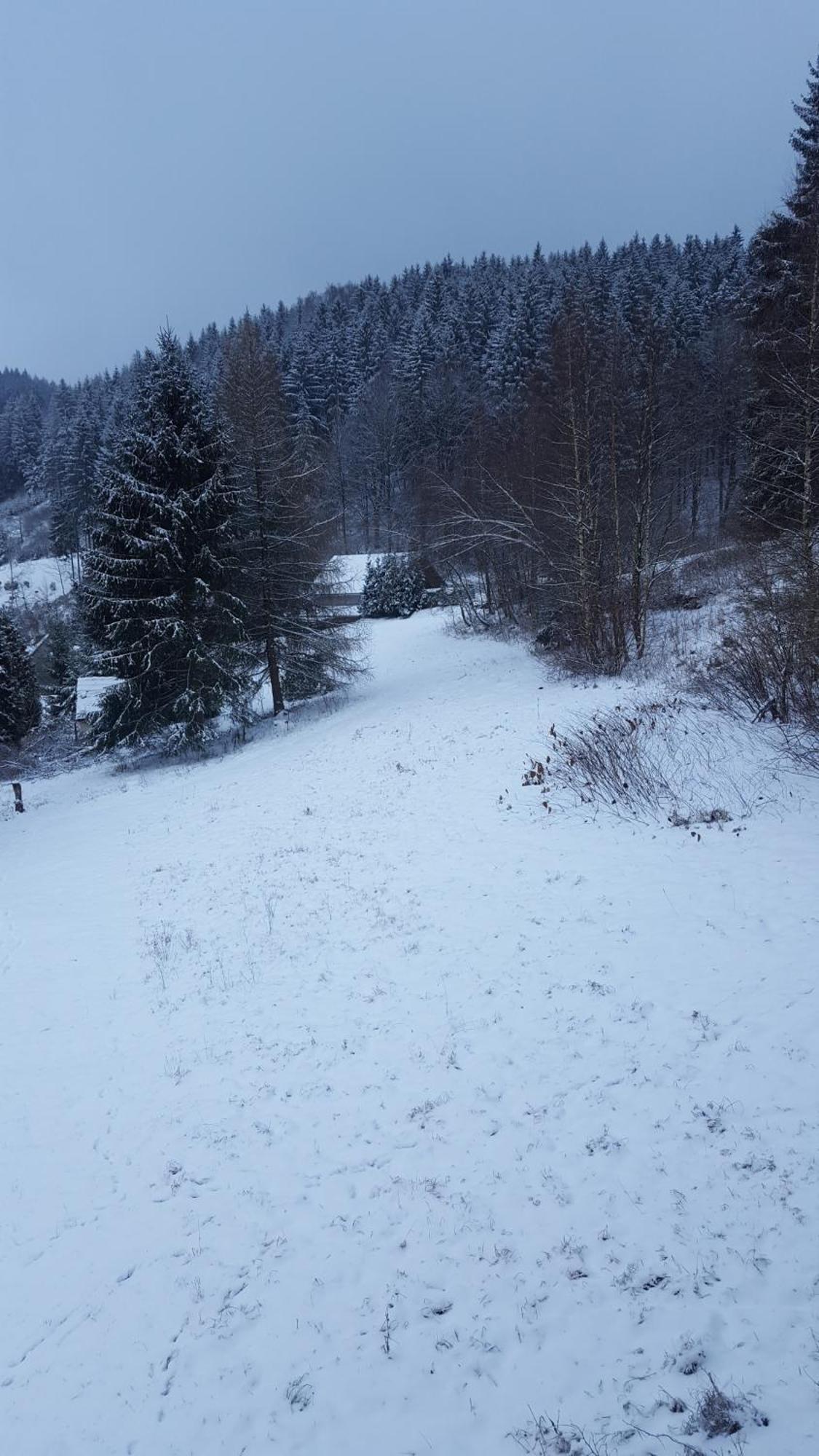 Monteur- Und Ferienwohnung Waldrauschen Fehrenbach Szoba fotó