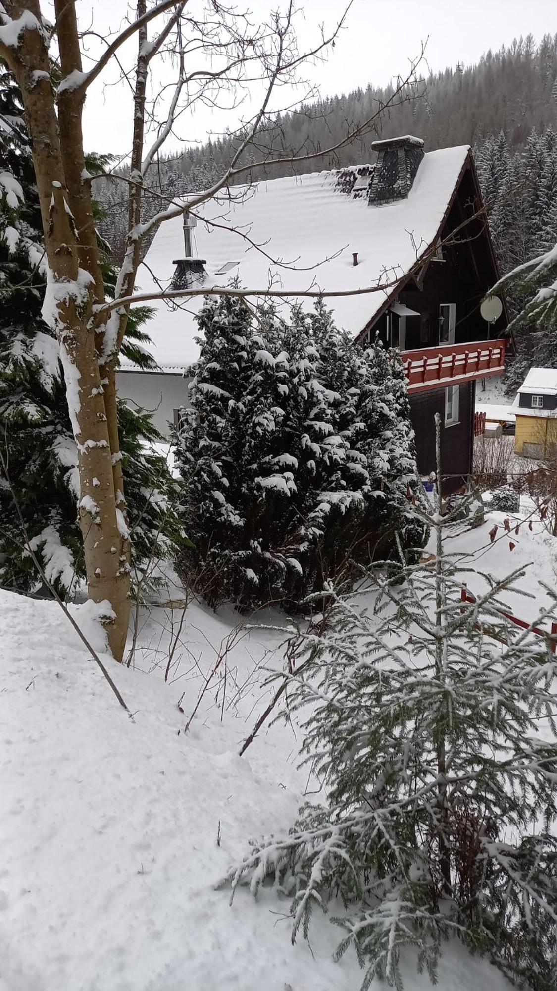 Monteur- Und Ferienwohnung Waldrauschen Fehrenbach Szoba fotó