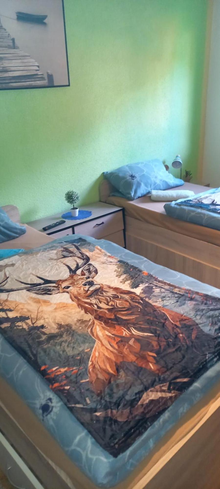 Monteur- Und Ferienwohnung Waldrauschen Fehrenbach Kültér fotó