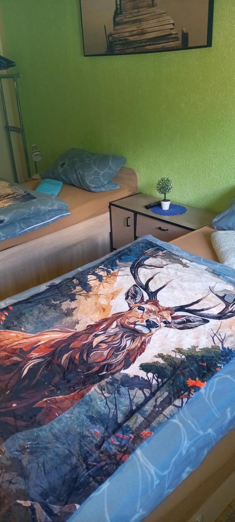 Monteur- Und Ferienwohnung Waldrauschen Fehrenbach Kültér fotó